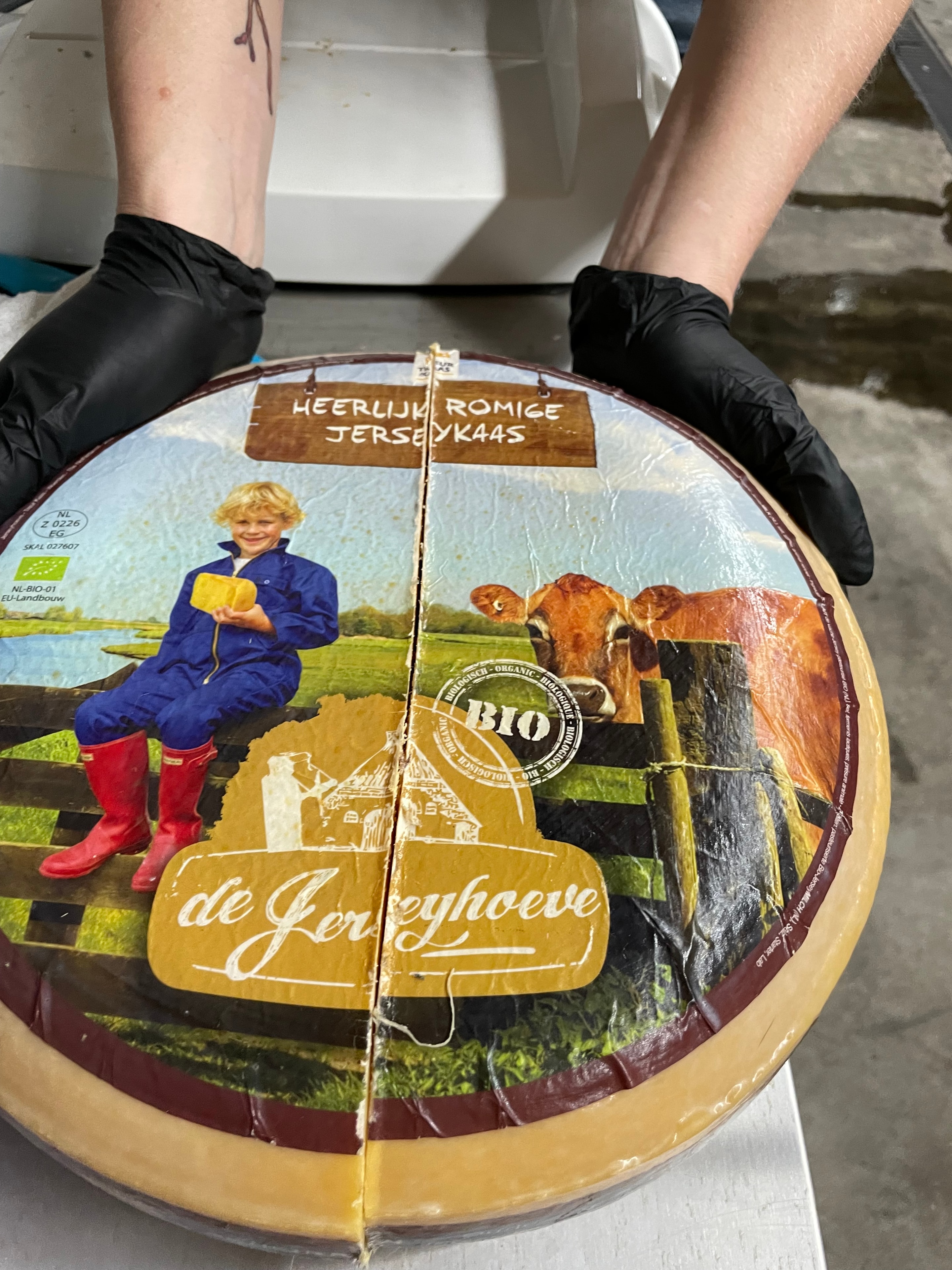 Artisan cheese wheel being cut with wire